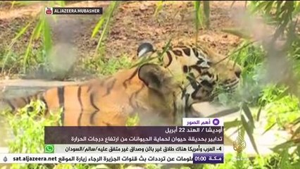 رشاشات مياه باردة لتلطيف درجة الحرارة في حديقة حيوان بالهند