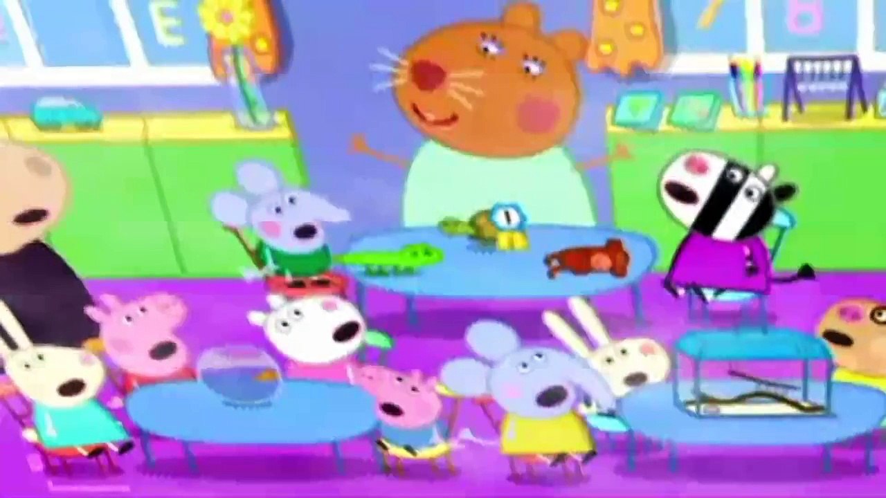 New Peppa Pig Videos ||  The Pet Competitio - Spider Web