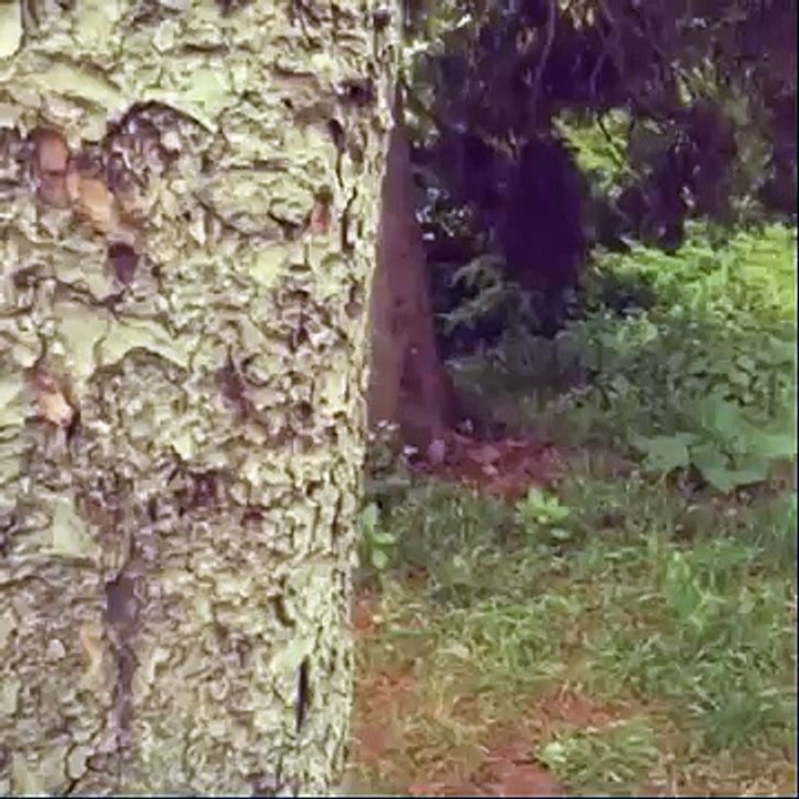 7 Saniyede Yeşilçam