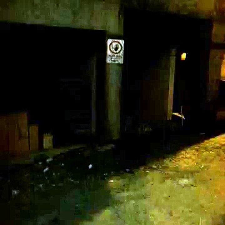 Vine son 7 saniye