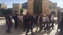 القدس- مجموعات من المستوطنين تقتحم المسجد الأقصى