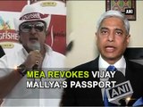 MEA revokes Vijay Mallya's passport