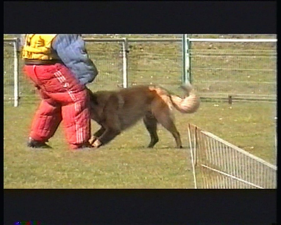le mordant de Jitan Grande Synthe le 18 Mars à Grande Synthe
