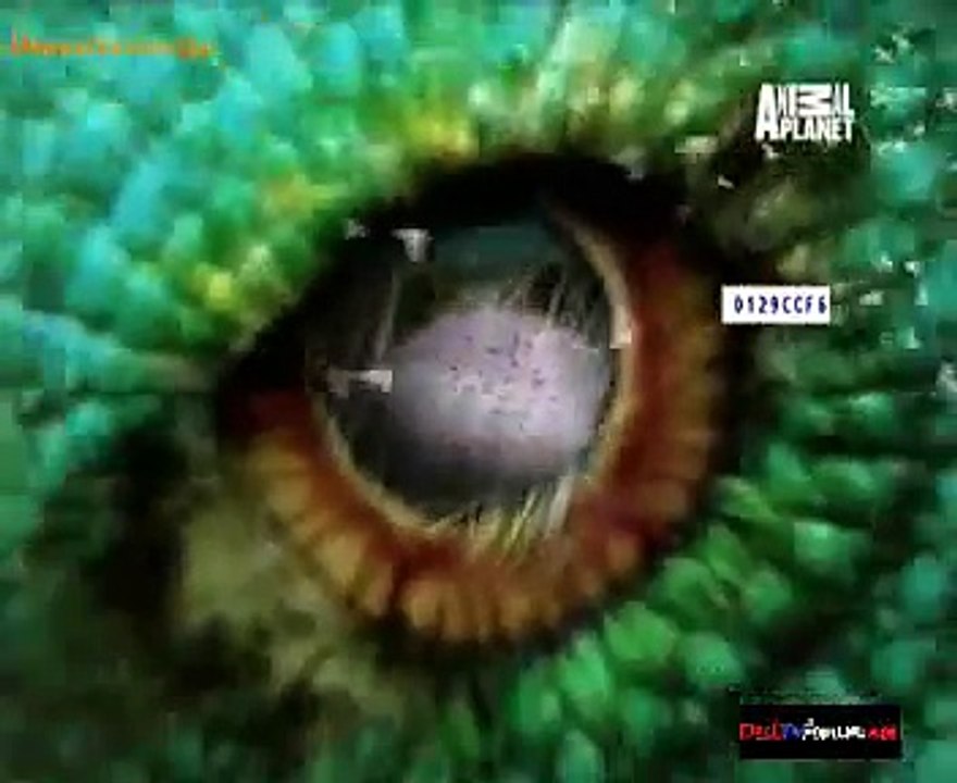 Fooled By Nature 22nd September 2014 Video Watch Online Pt1