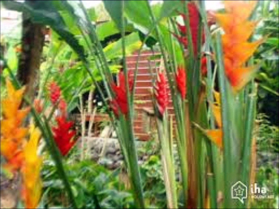 Quatre saisons pour t'aimer.