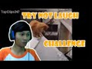 Try Not To Laugh Challenge - Kayaknya Gagal Deh Haha
