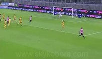 0-1 Alberto Gilardino Gol - Frosinone VS Palermo (24-4-2016)