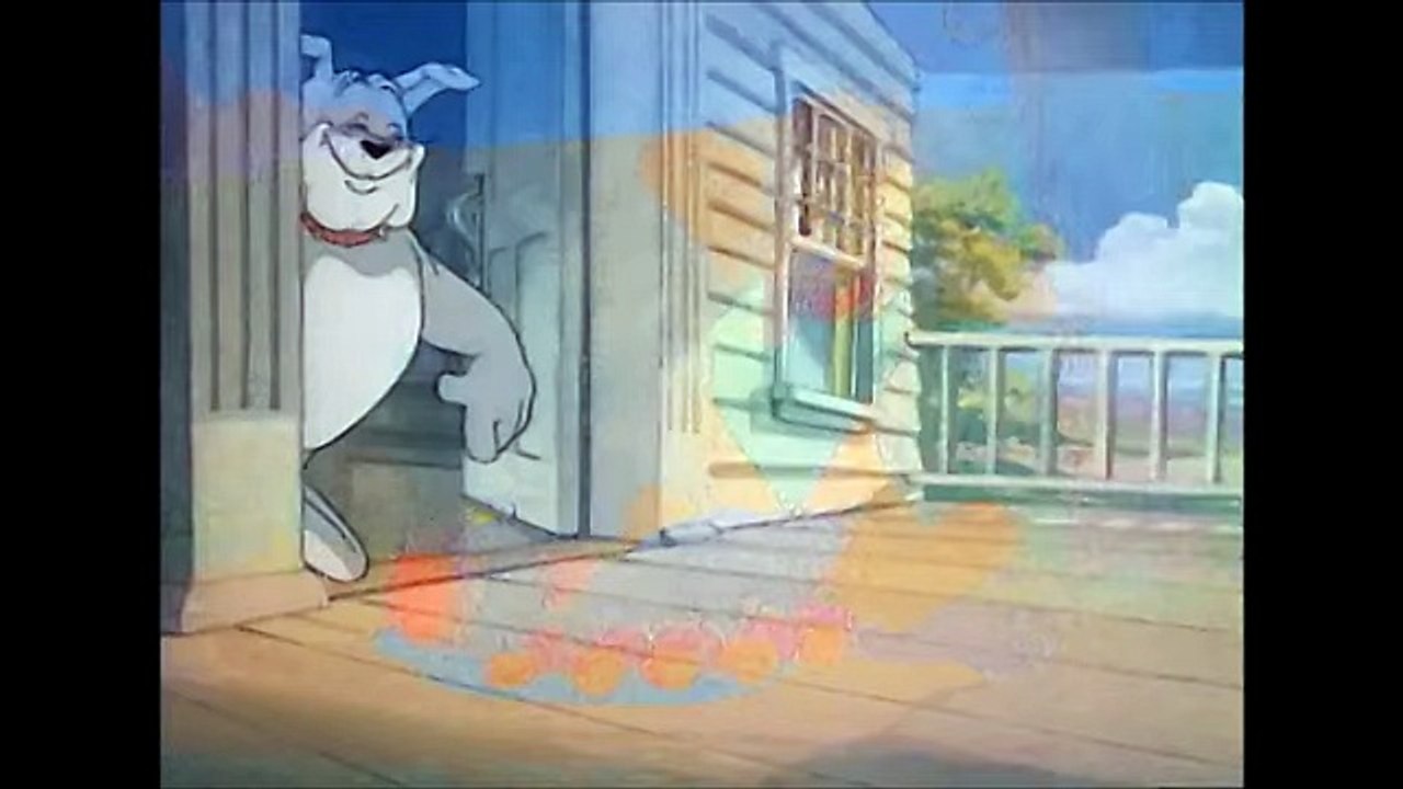New Tom and Jerry Cartoons 2016