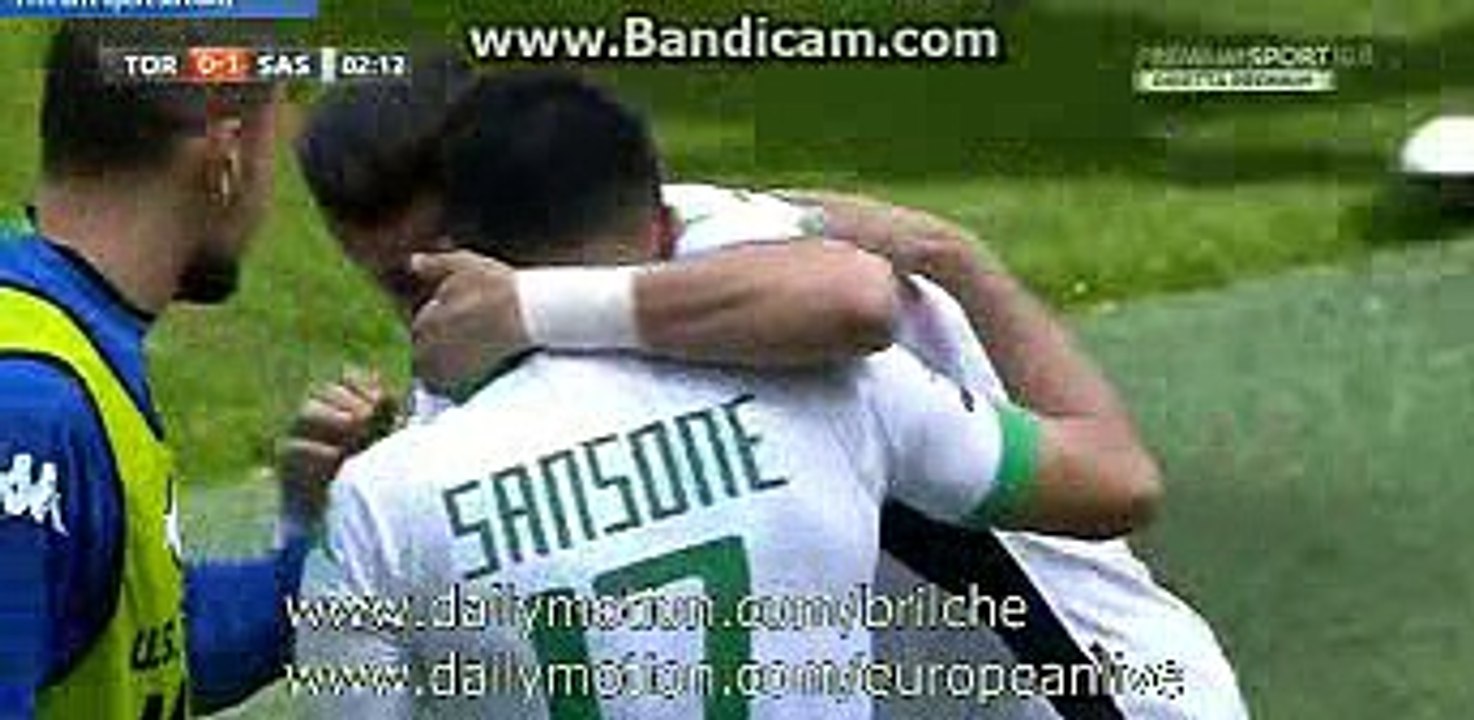 0-1 Nicola Sansone goal - Torino vs Sassuolo - 24.04.2016