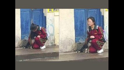 Peru News: Act of kindness: A student protects a dog in Huancayo