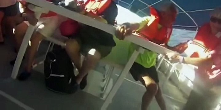 Terrifying moment Costa Rica tour cruise catamaran capsized and sank
