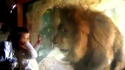 Повезло, что есть стекло