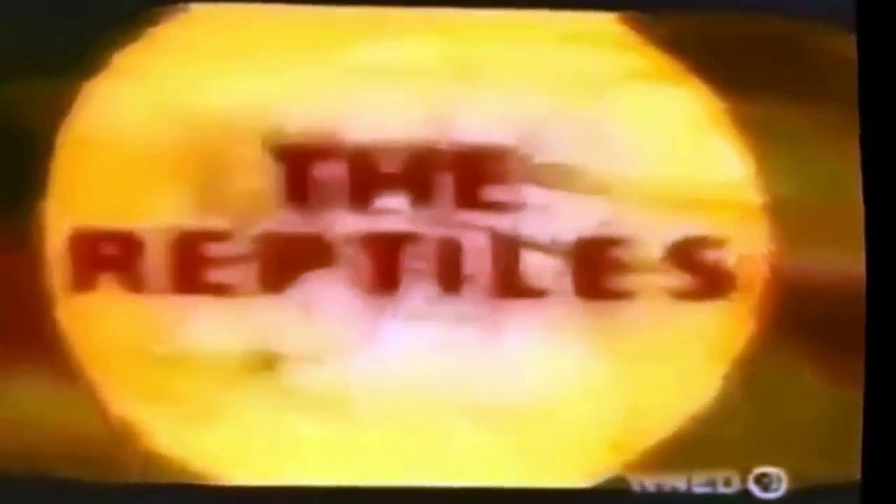 Animals Attack Compilation - Lions attack to Hyena biggest fight - Tiger Attack