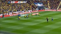 Yannick Bolasie Goal - Crystal Palace 1-0 Watford - 24.04.2016