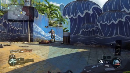 BO3 Shamoo Chronicles