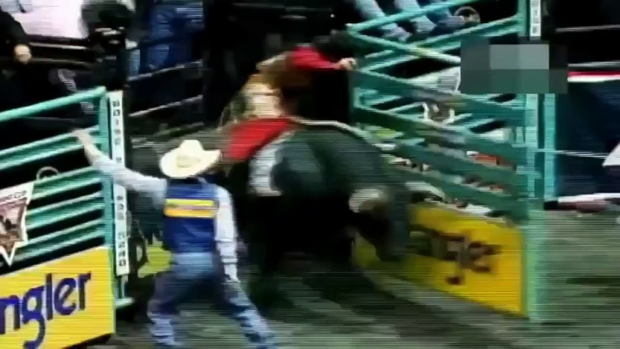 Animals Attack Compilation - Wild animals attack on the human - wild animal attack (2)