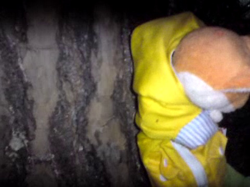 being imagine ☺ seines