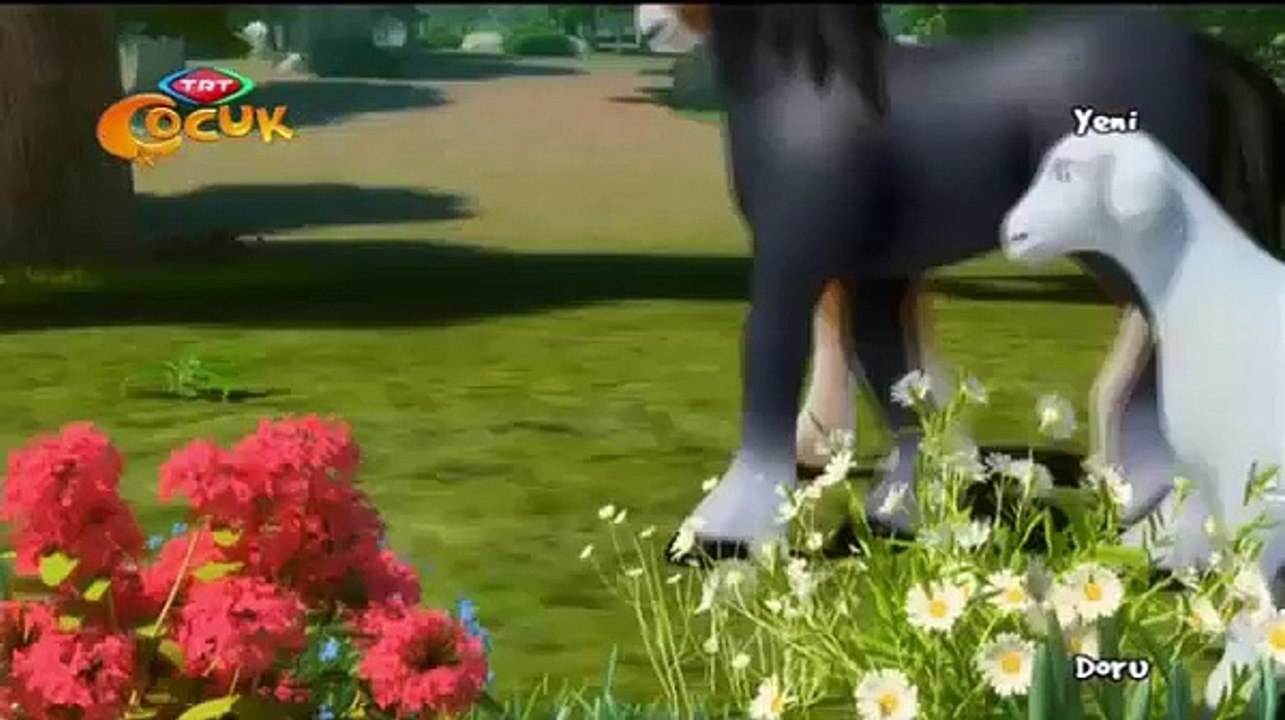 Doru Çizgi Filmi - Kuzu - Dailymotion Video-002