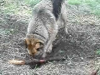 creuse creuse creuse