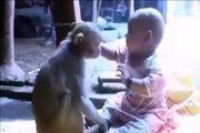 Ha Ha Ha !!! Crazy Monkey-Top Funny Videos-Top Prank Videos-Top Vines Videos-Viral Video-Funny Fails