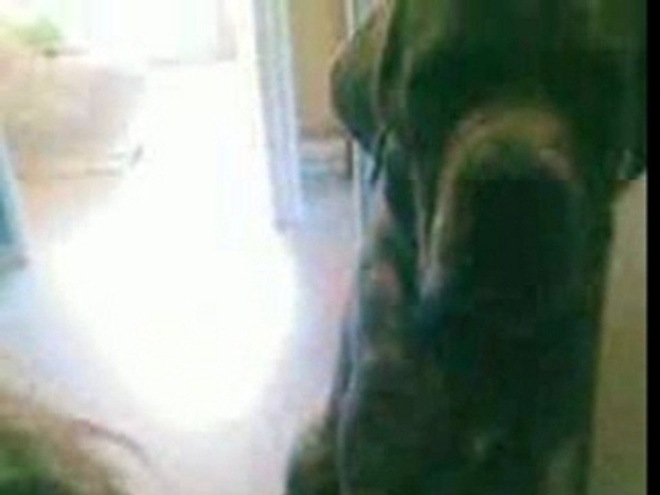 MON CHIEN