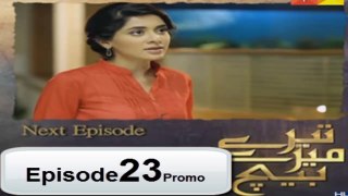 Tere Mere Beech Episode 23 Promo HD on Hum TV 24th April 2016