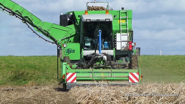 AVR PUMA+ Aardappels rooien 2012 - van Es, Lifting potatoes / Kartoffeln ernte