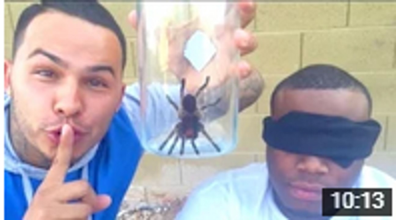 Top FUNNY Crazy Pranks (GONE WRONG) Compilation 2016