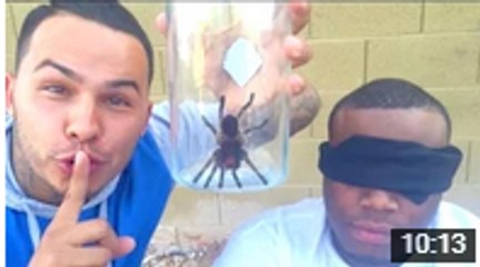 Top FUNNY Crazy Pranks (GONE WRONG) Compilation 2016