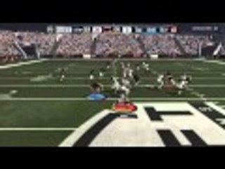 Crazy punt return!!! (Madden NFL 16)