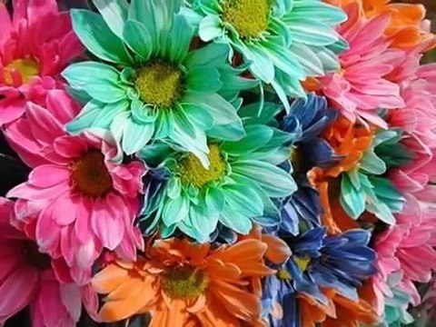Hildegard Knef-Sag mir wo die Blumen sind