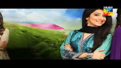 Haya Kay Daman Main Episode 19 Promo HUM TV Drama 22 April 2016