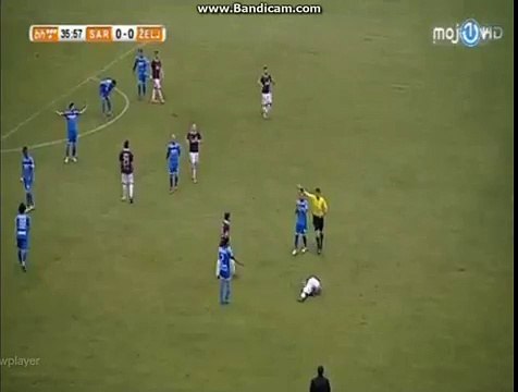 Crveni karton za Sinišu Stevanovića -