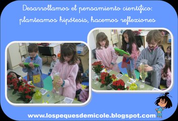 experimento  2