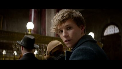 Fantastic Beasts and Where to Find Them - Teaser Trailer [HD]