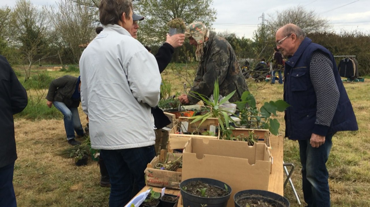 La bourse aux graines et aux plants de la Muloche