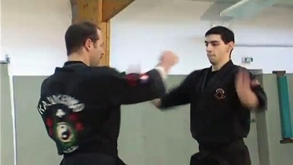 Kenpo techniques hawaiien