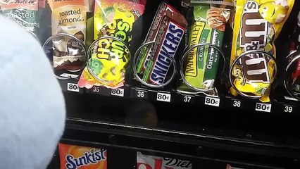 TPE Yoshi Takes A Good Vending Machine