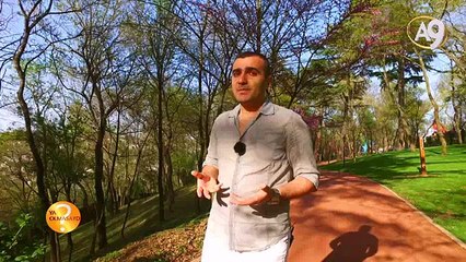 Bitkilerde saklı altın oran