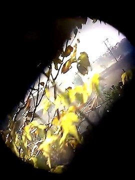 В Сеть попало видео, снятое боевиками из ДРГ -Новороссии обстрел мирных людей на блокпосту ВСУ