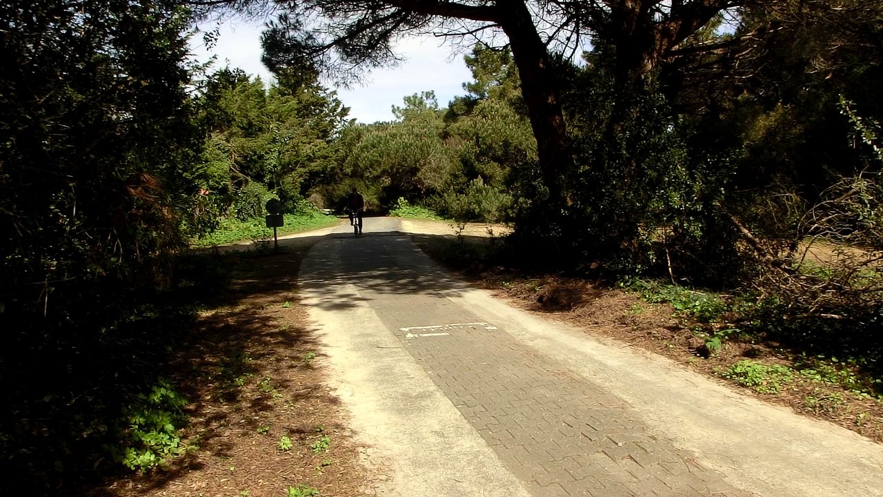 A bicyclette en fo...Ré !
