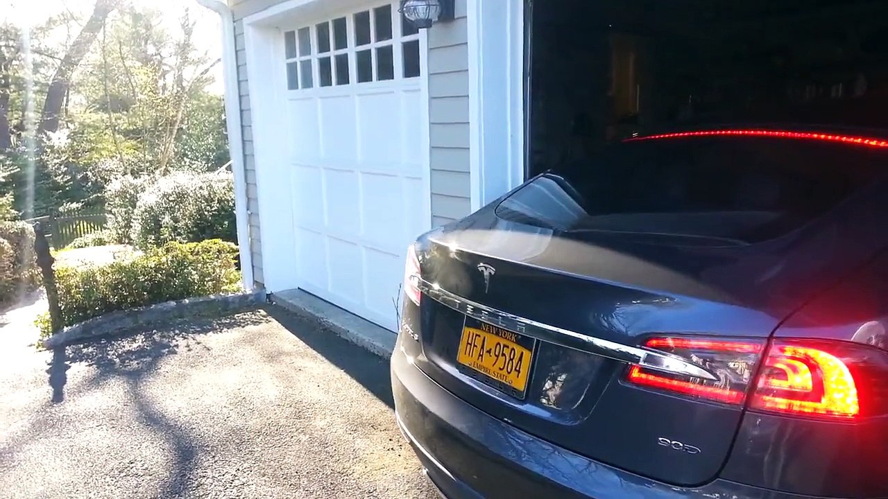 Ce chien peut sortir la voiture du garage tout seul !