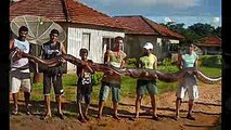 BIGGEST SNAKE EVER ! GIANT SNAKE