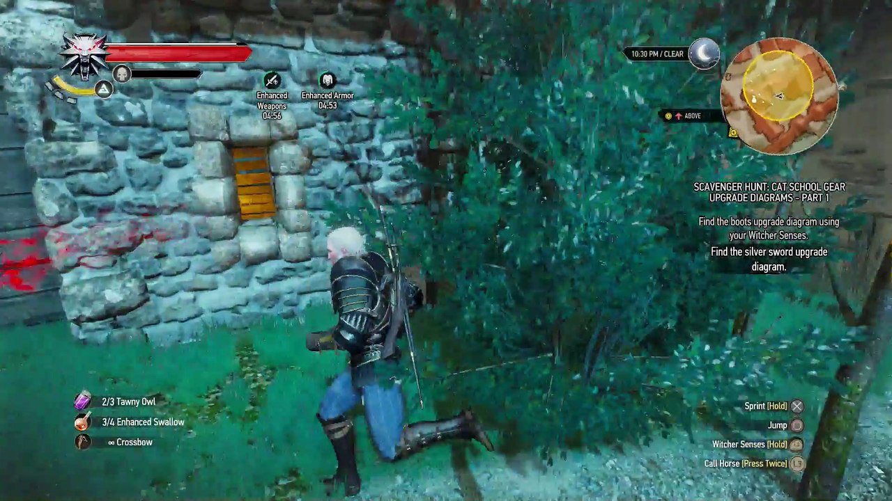 WITCHER 3 DEATH MARCH! WALKTHROUGH 159 - SCAVENGER HUNT CAT SCHOOL GEAR UPGRADE ROYAL WYVERN BOSS