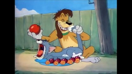 Tom and Jerry, 35 Episode - The Truce Hurts (1948)