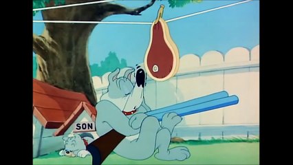 Tom and Jerry, 44 Episode - Love That Pup (1949)