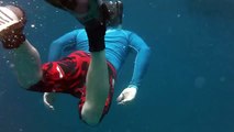 Snorkeling with Manta Rays on the Maledives - 01