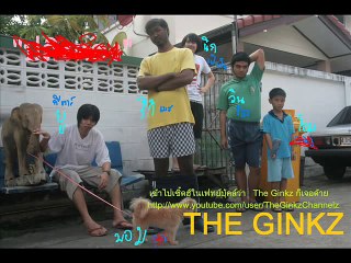 The Ginkz  - ปลิงดอง