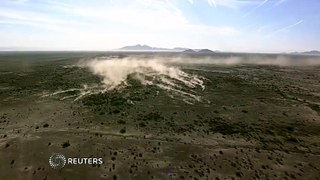 Wild horses stampede in Arizona