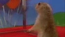 Dramatic chipmunk
